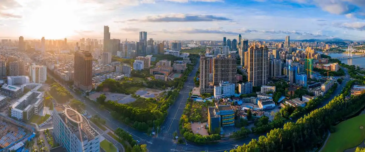 Forest Kingdom Thane Forest Kingdom Thane