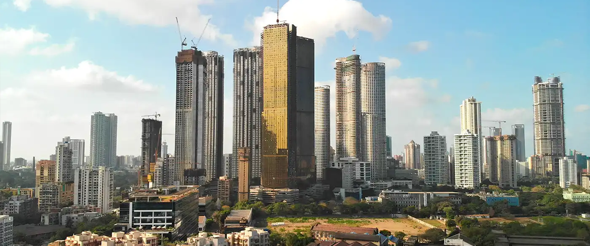 Forest Kingdom Thane Forest Kingdom Thane