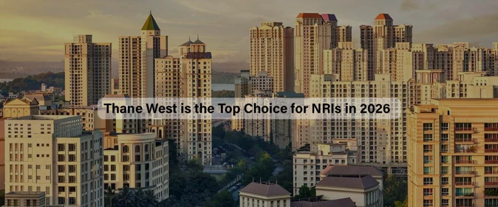 Forest Kingdom Thane